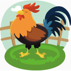 农村家禽大公鸡