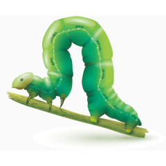 毛毛虫子矢量素材