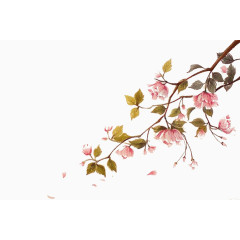 樱花飘起飘落图片素材