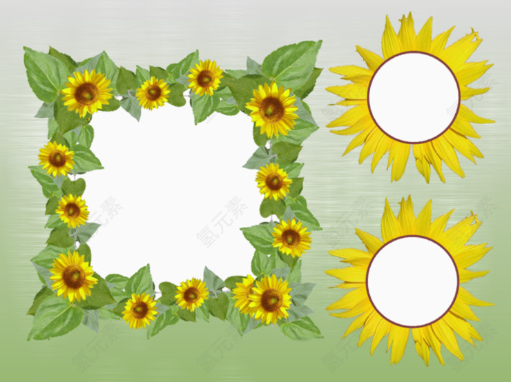 向日葵装饰的边框