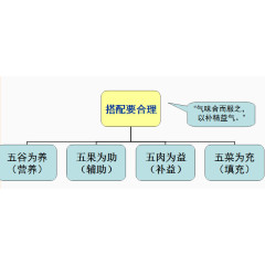 饮食指导结构图
