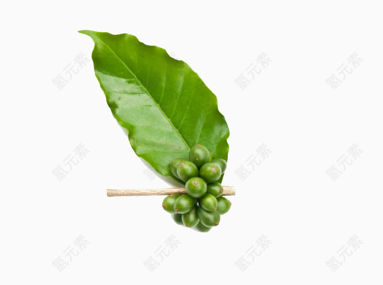 成长