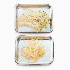 不锈钢盘装豆芽