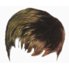 头发   假发   发型