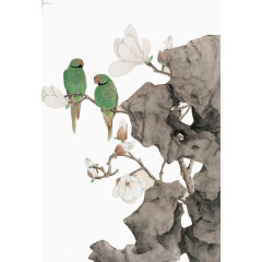一对鹦鹉