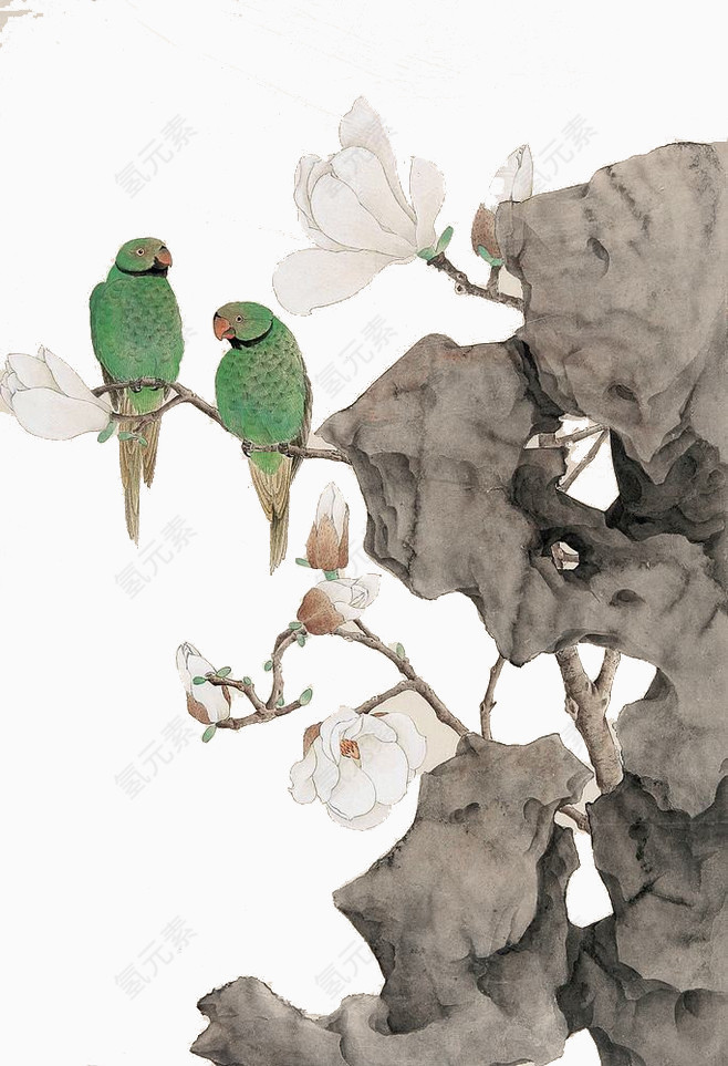 一对鹦鹉