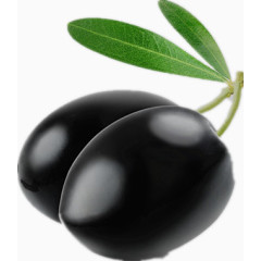 黑色的橄榄