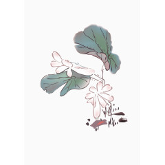 矢量中国风荷花