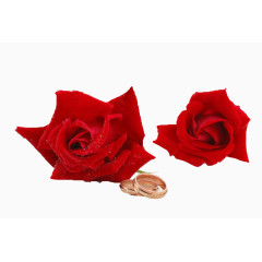 玫瑰与戒指