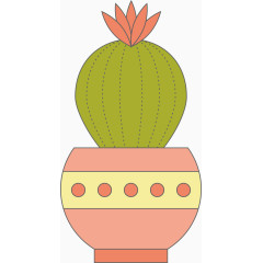 个性定制球形仙人掌