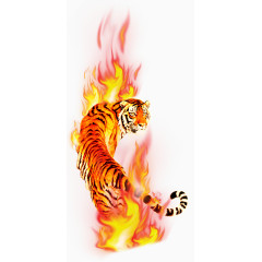 高清燃烧的老虎