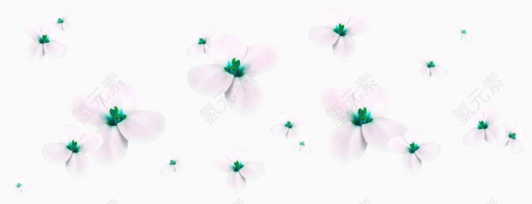 漂浮白色花朵