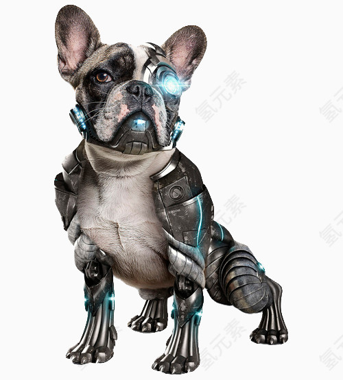 机械装备狗狗