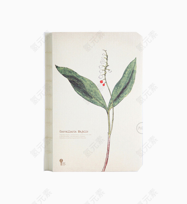 药草铃兰本