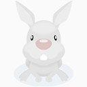 十二生肖 卡通图案