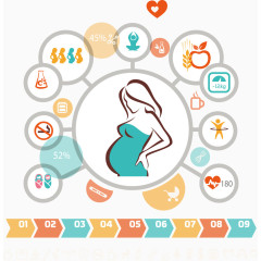 矢量孕妇禁忌信息