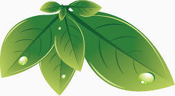 叶子
