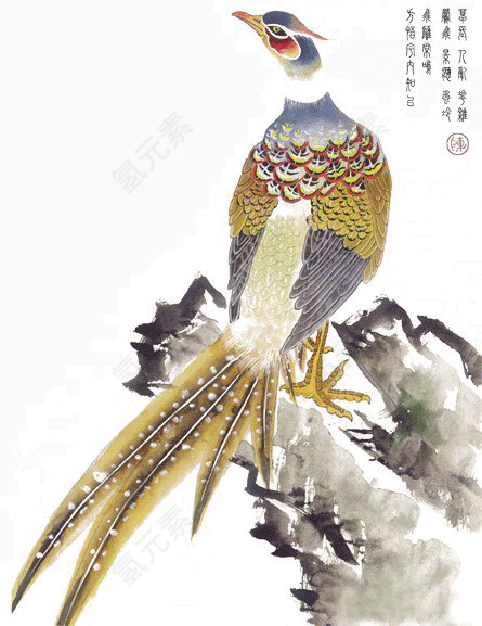 中国风花鸟画素材