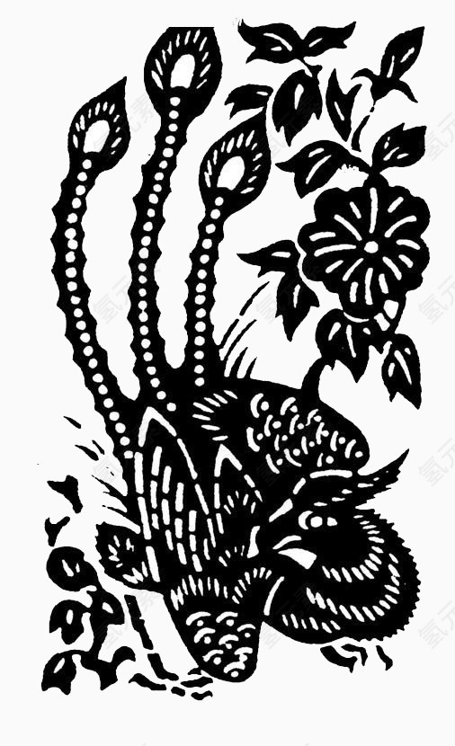 孔雀尾巴