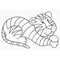 小老虎