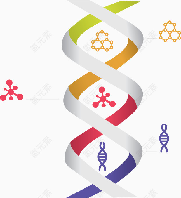 双螺旋DNA分子结构
