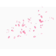 粉色花瓣图片素材