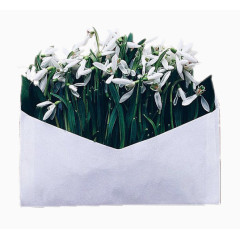 已花为约婚礼请柬