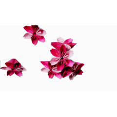 折纸樱花免抠素材