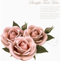 玫瑰花朵粉色中国风