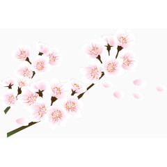 樱花花瓣元素