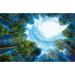 森林中的蓝天唯美素材