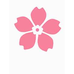 樱花花瓣图片