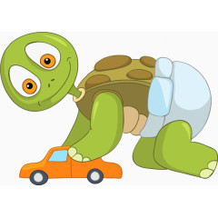 玩小车的乌龟