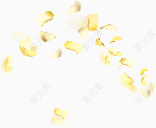 弧形排布的金黄色树叶