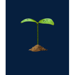 唯美清新绿色植物水滴土壤