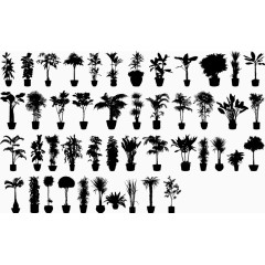 矢量黑白植物装饰