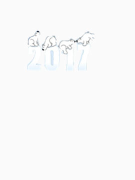 2017
