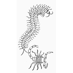 矢量蜈蚣