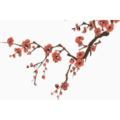 花朵，花，梅花，淘宝素材