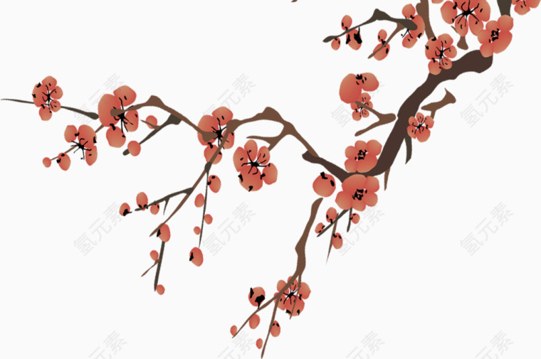 花朵，花，梅花，淘宝素材