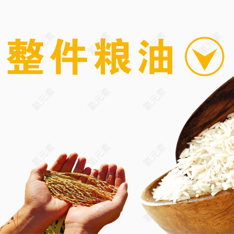 粮食素材