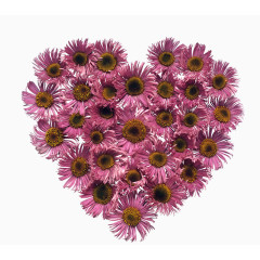 情人节装饰海报效果