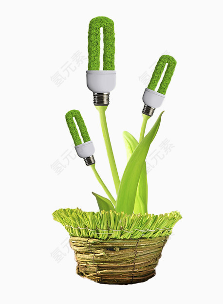 绿色公益植物