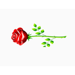 鲜花
