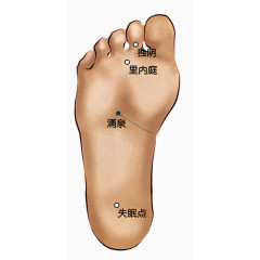 人体脚底足部穴位分布