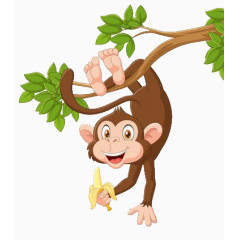 吊在树上的猴子