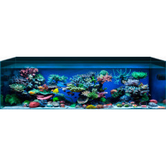 时尚家居鱼缸素材