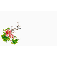 鸟在花枝上装饰免扣素材