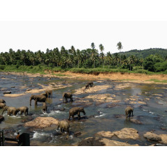 唯美斯里兰卡景区