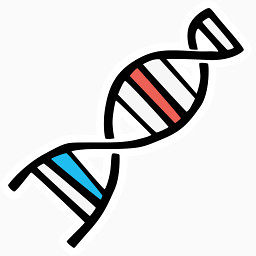 简笔画分解因子